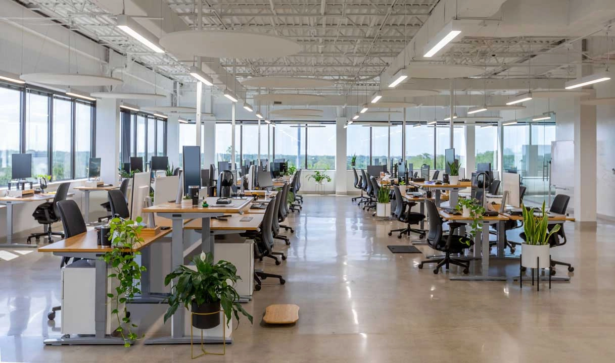 Modern open-plan office with plants.